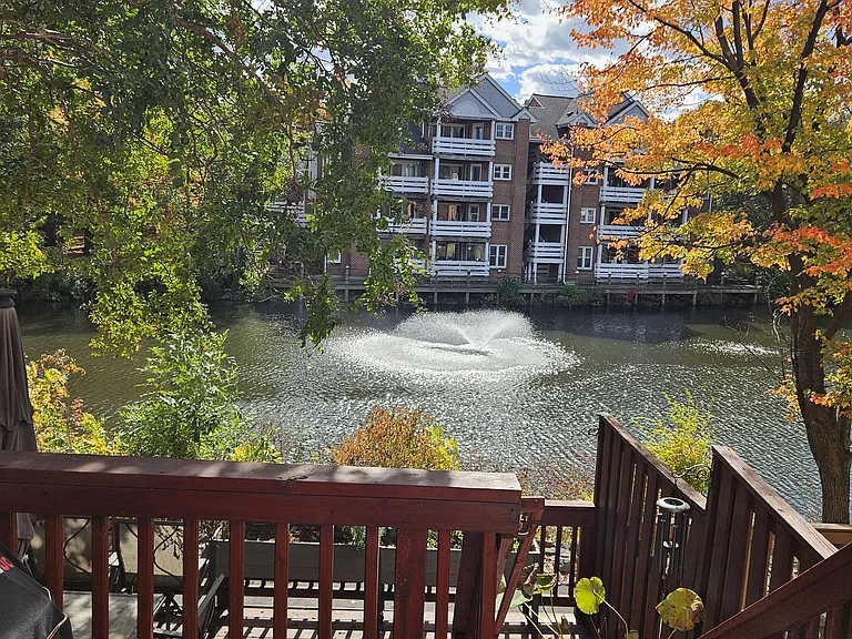 View from veranda