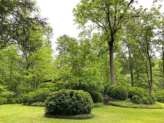 Boxwood around house