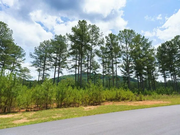 343 Loop Ln, Blairsville, GA 30512