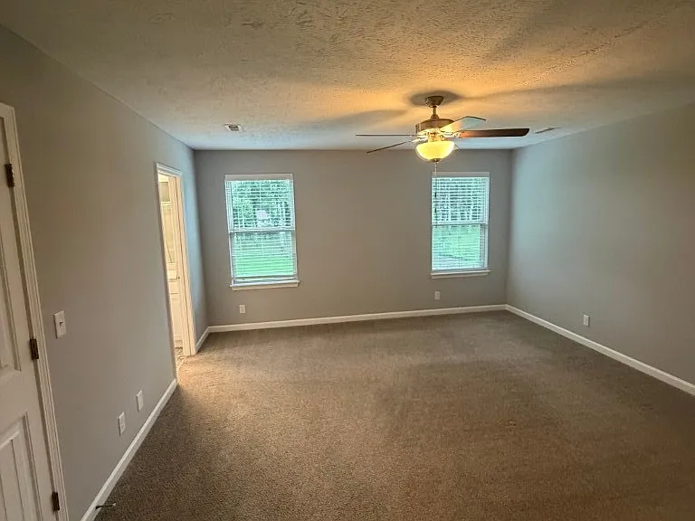 4310 Brogli Dr — Photo 12