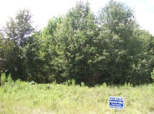 Tbd 170th Pl, McAlpin, FL 32062