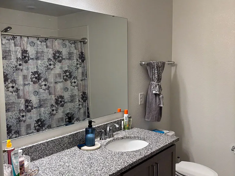 3843 Whitetail Ct — Photo 33