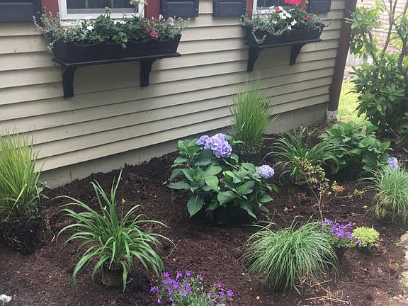 Front garden