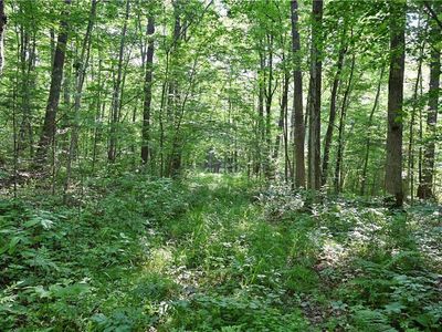 80 Acres 240th Street, Cornell, WI, 54732