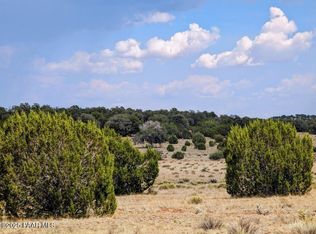 1115 N Jackpot Ranch Rd, Seligman, AZ 86337