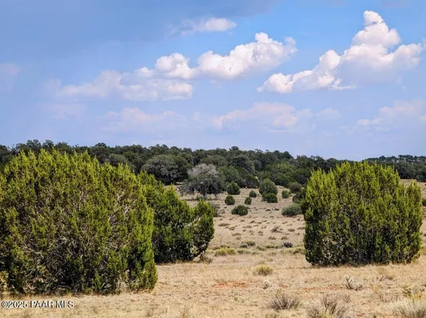 1115 N Jackpot Ranch Rd, Seligman, AZ 86337