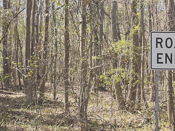 4th image of LOT 5 Freeman St