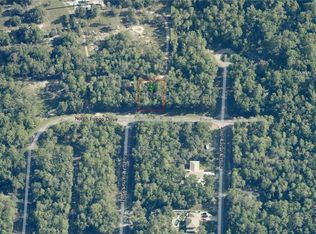 11334 N Fuego Dr, Citrus Springs, FL 34434