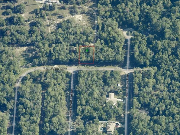 11334 N Fuego Dr, Citrus Springs, FL 34434