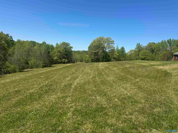 LOT 5 Taylor Rd, Elkmont, AL 35620
