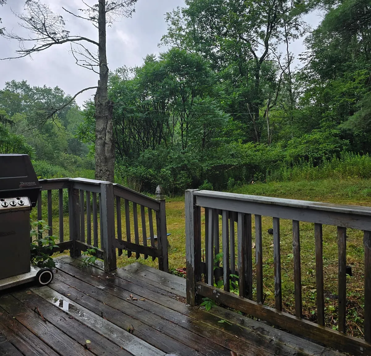 4 bed, $2,000 — Photo 2