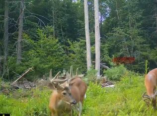 000 Shaker Road, Sutton, NH 03260