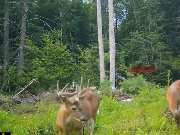 000 Shaker Road, Sutton, NH 03260