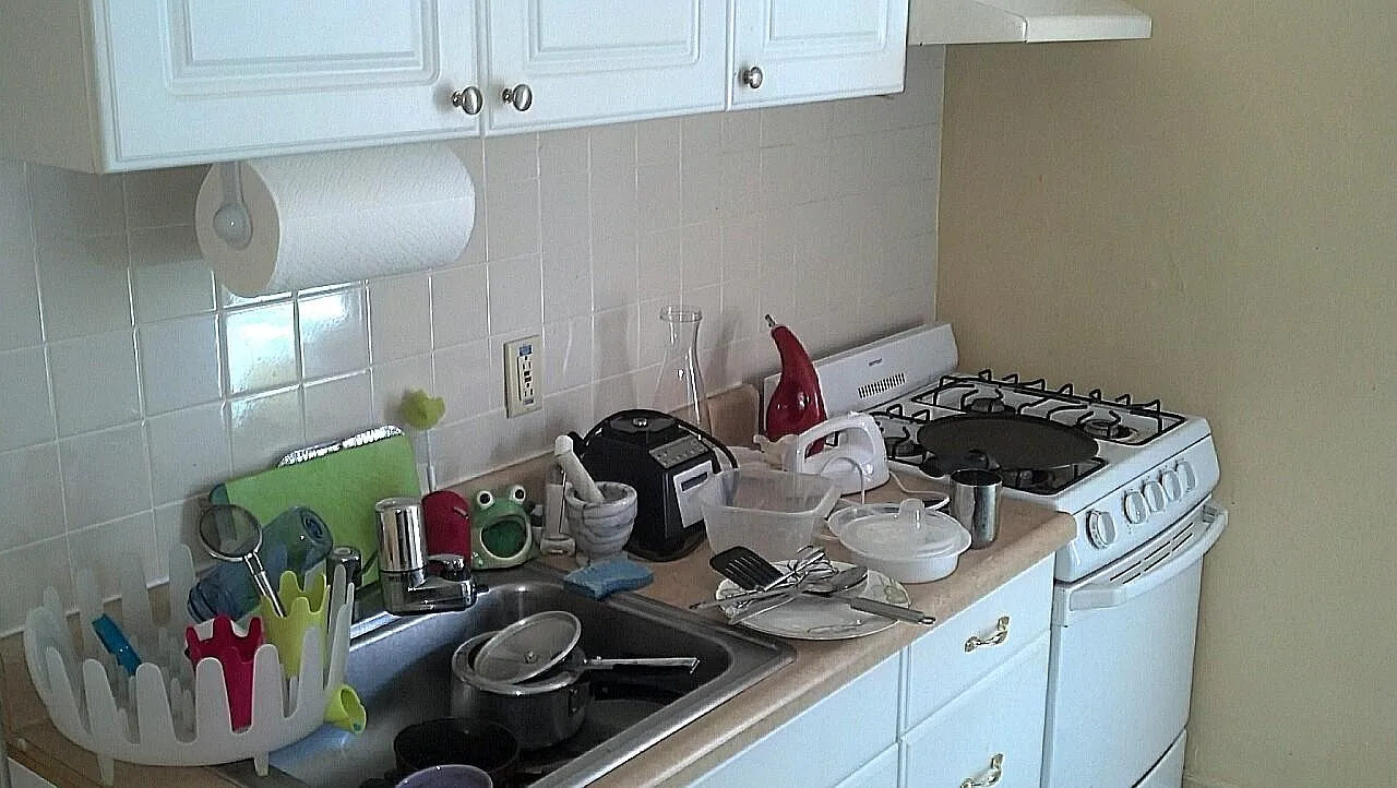 1 bed, 500 sqft, $1,300 — Photo 4