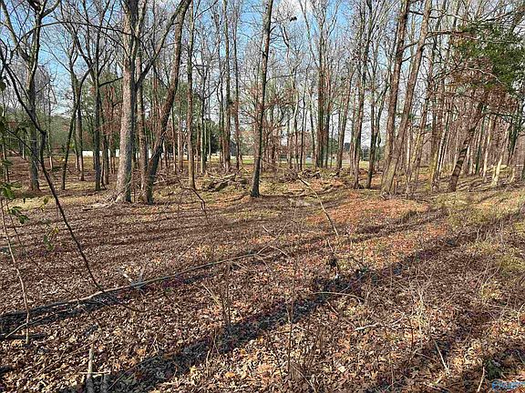 5th image of Ghost Hill Rd