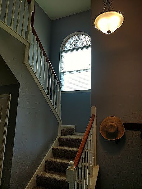 New paint color - 2019