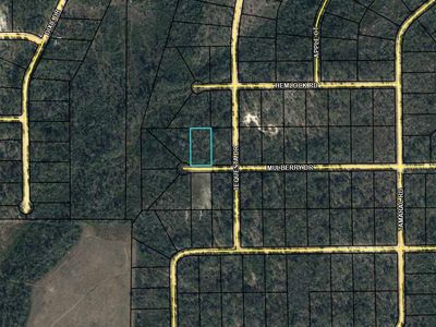 0 Mulberry Ln, Marianna, FL, 32448