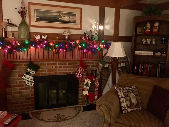 Family Room fireplace
