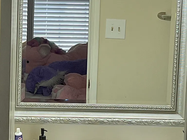 7363 Regency Square Ct #7363 — Photo 36