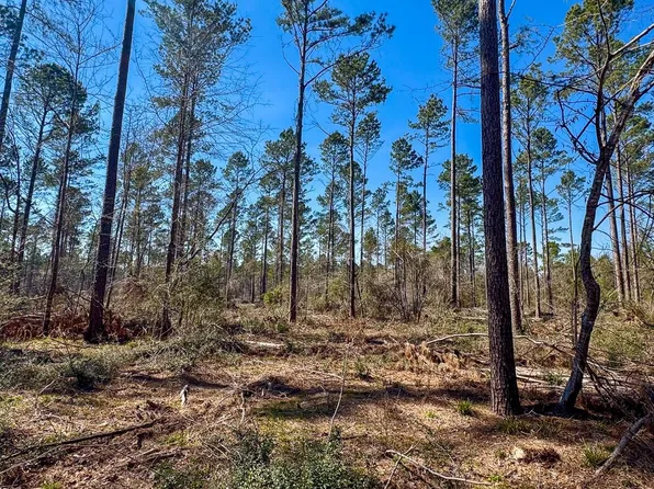 1 Boontown Rd, Groveton, TX 75845