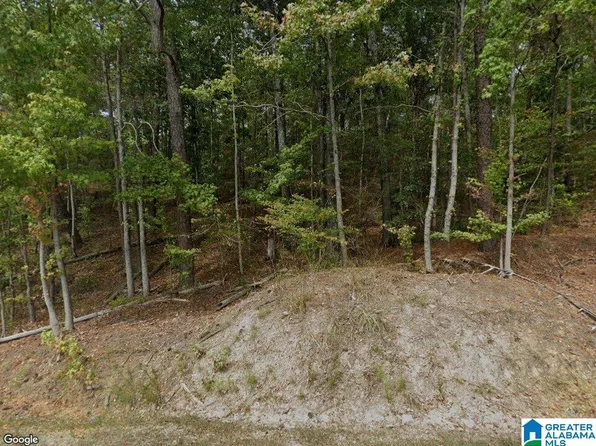 15065 Lock 17 Rd #1, Adger, AL 35006