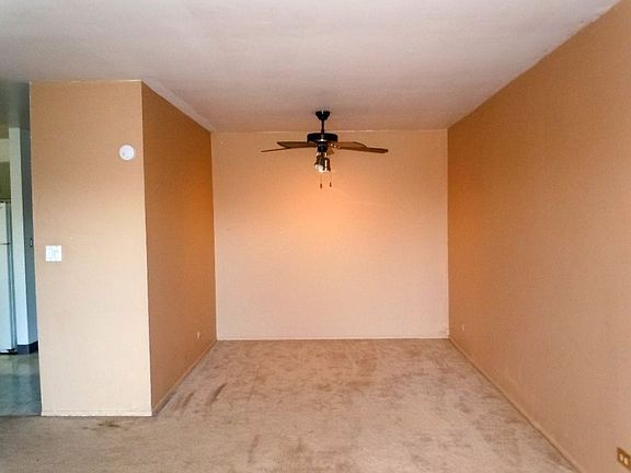 Dining Room with Plush Carpeting