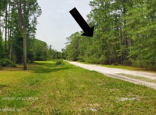 116 Mosswood St, Georgetown, FL 32139