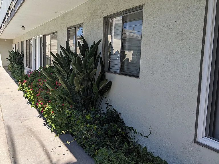 Gardens along central walkway in front of apartments at Los Robles in Pasadena, California.