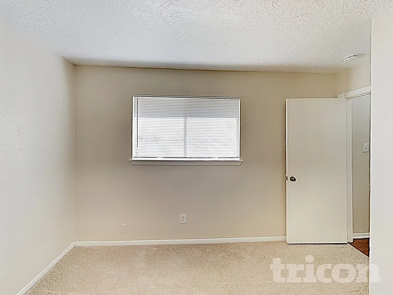 22806 Wild Moss St — Photo 12