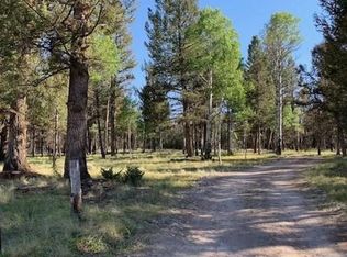 514 Monarch Rd, Powderhorn, CO 81243