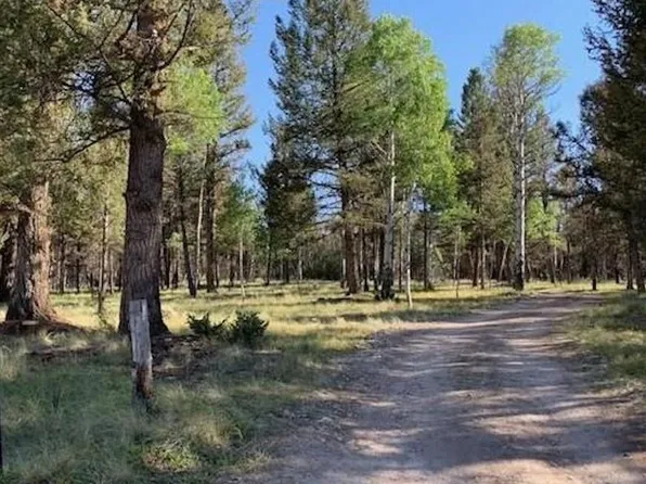 514 Monarch Road, Powderhorn, CO 81243