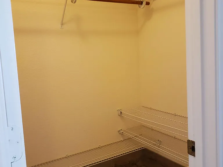 Master BR Walk-in closet
