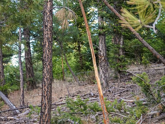 3rd image of 4929 W Us Highway 12 Lot Wp001