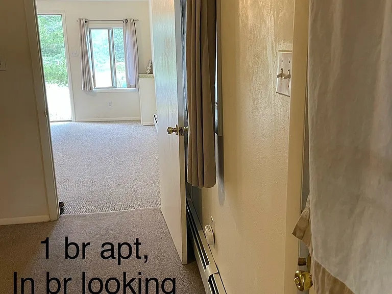 240 S Jefferson St #1 — Photo 6