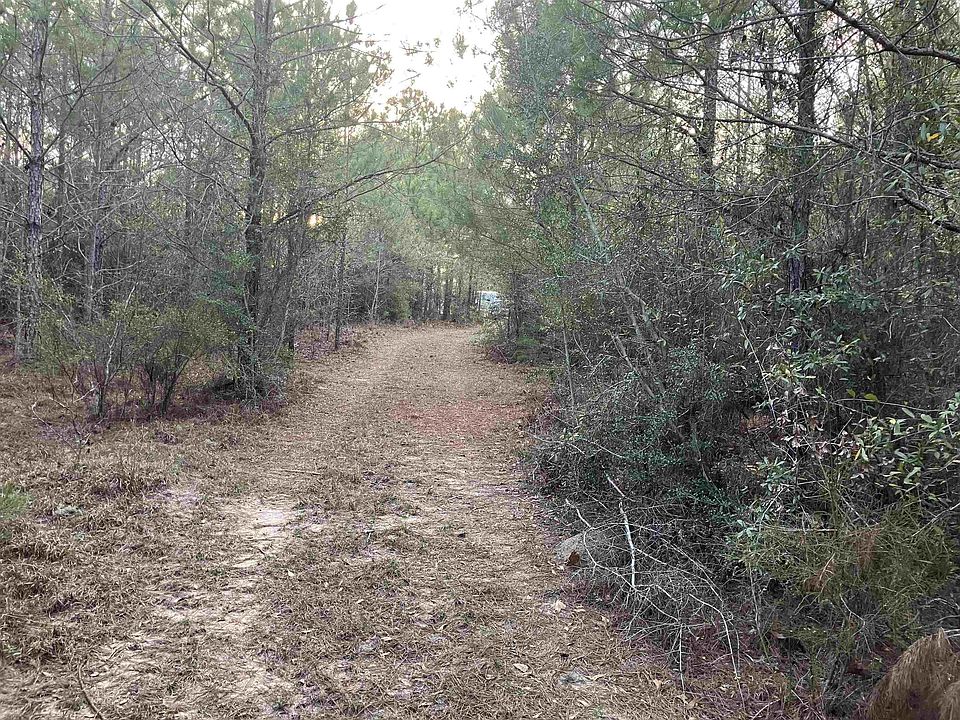 2nd image of 0 Odom Rd