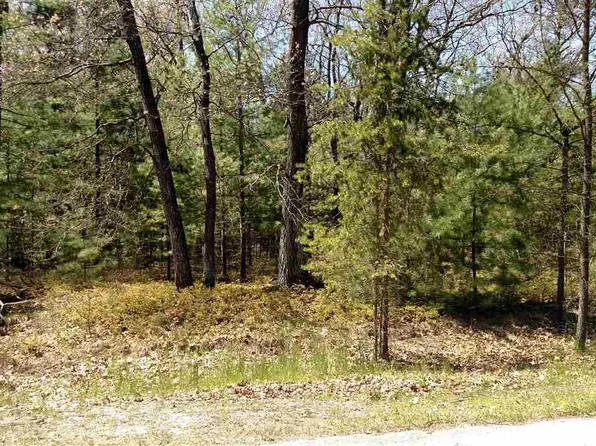 N A Golfview Ct, Au Gres, MI 48703