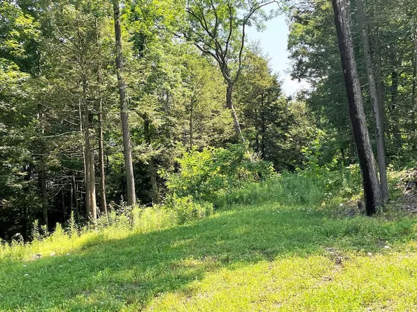 LOT-37A Hemlock Hill Rd, Towanda, PA 18848
