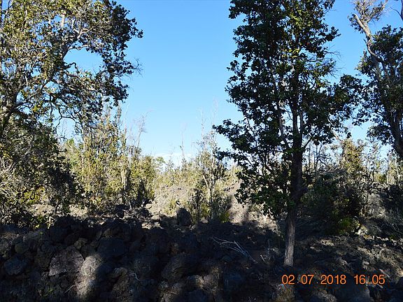 5th image of Leilani Pkwy Lot 23