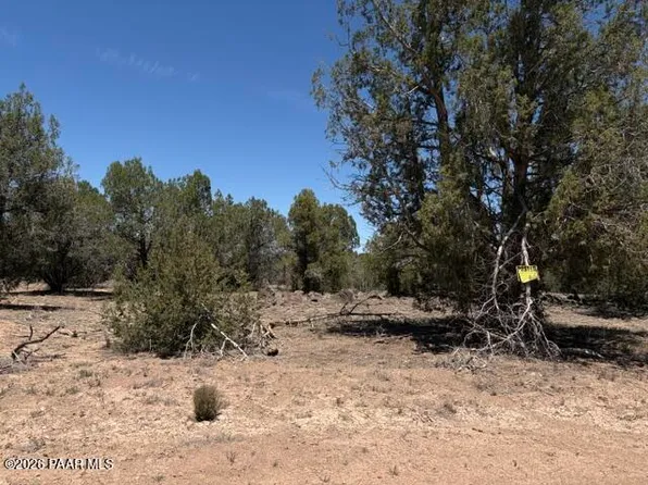 356D Sierra Verde Rnch, Seligman, AZ 86337