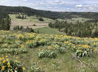 X Egypt Loop Rd E, Davenport, WA 99122