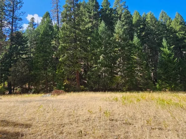 2971-13 Dips Rd, Hayfork, CA 96041