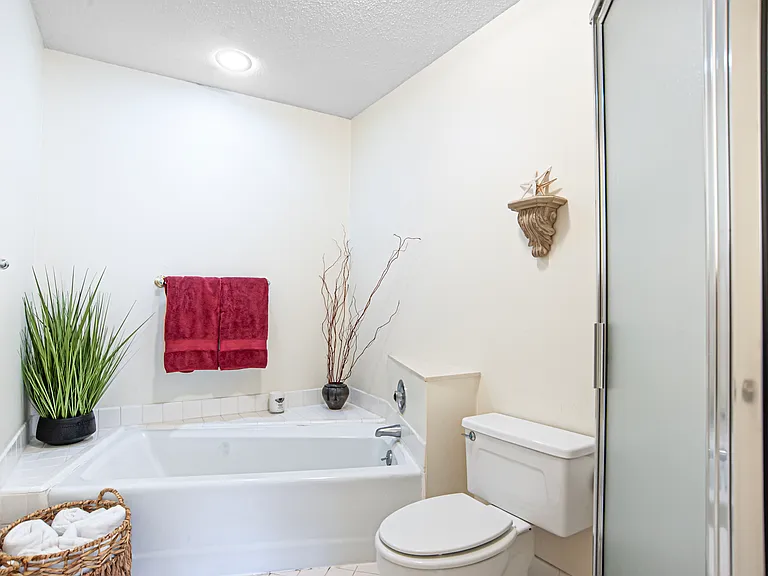Deep tub and Shower