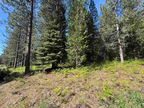 LOT 12 Old Mill Dr, McCloud, CA 96057