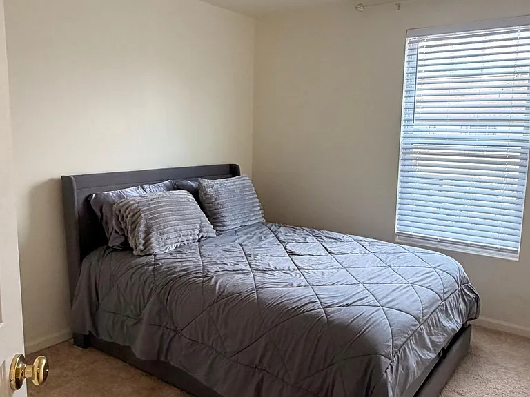 484 Belvedere Ln — Photo 18