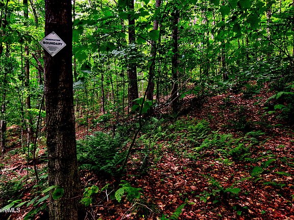 5th image of 66 Scott Rd