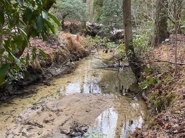 20.69 Colony Rd, Gruetli Laager, TN 37339