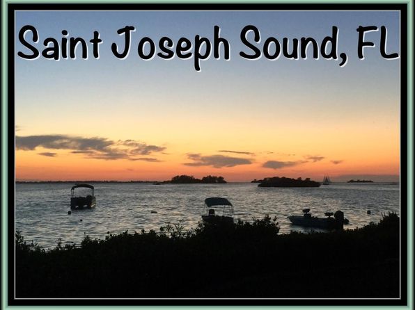 2700 Bayshore Blvd APT 589, Dunedin, FL 34698