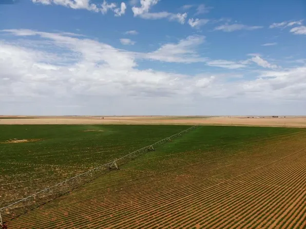 0 County Road 225, Plains, TX 79355