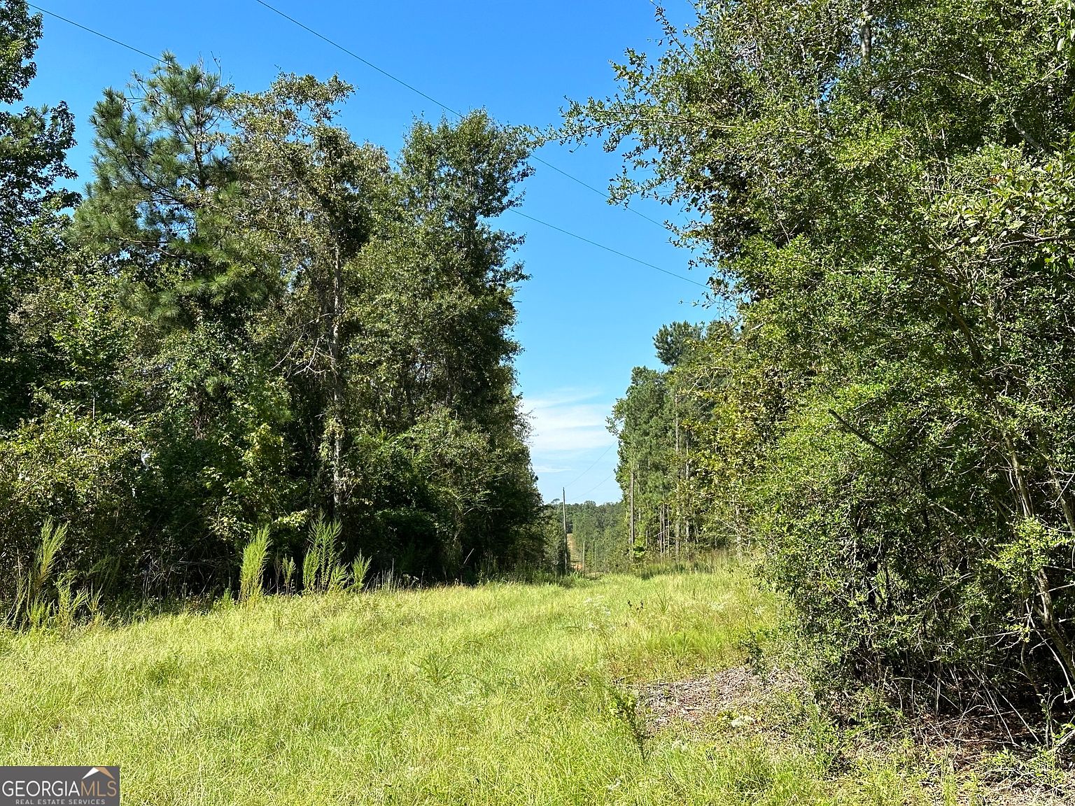 0 Bath Edie Rd, Hephzibah, GA 30815 MLS 10294277 Zillow