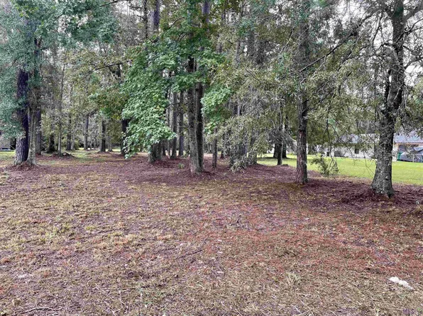 31387 River Pines Dr, Springfield, LA 70462